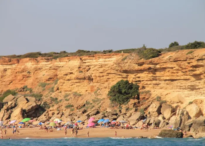 Apartamento En Complejo Con Piscina